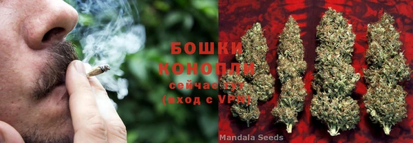 jwh Бородино